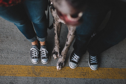 great dane and couple's feet