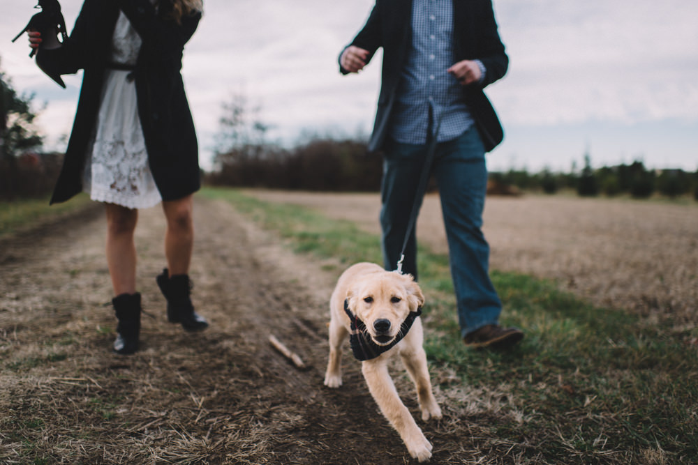 columbus engaged couple walking their puppy