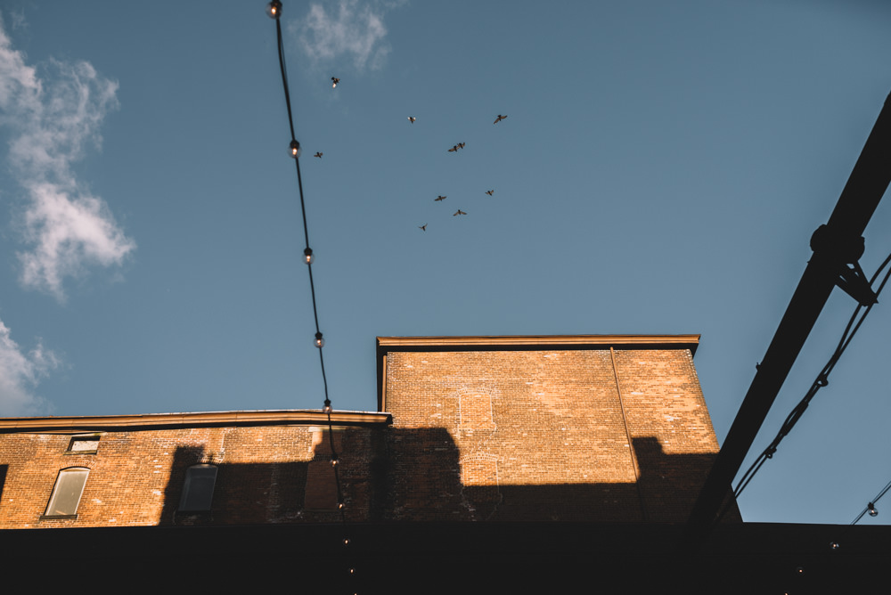 birds flying over an outdoor via vecchia winery jewish wedding photography