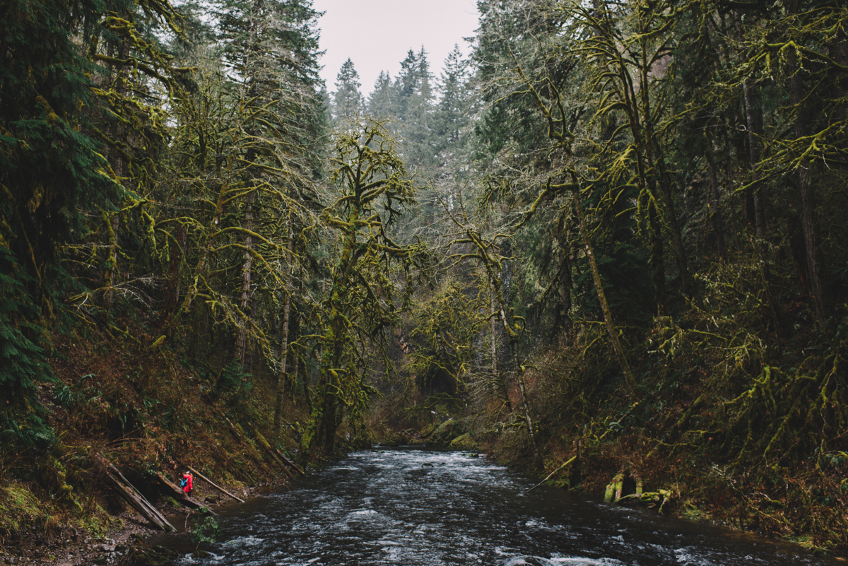 Abiqua Falls, Oregon