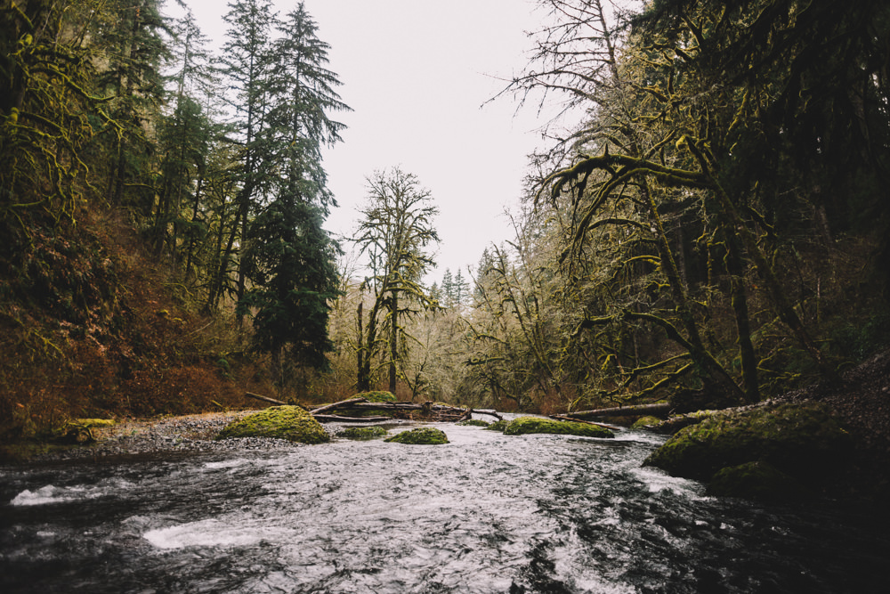 Portland Oregon Wedding Photographer