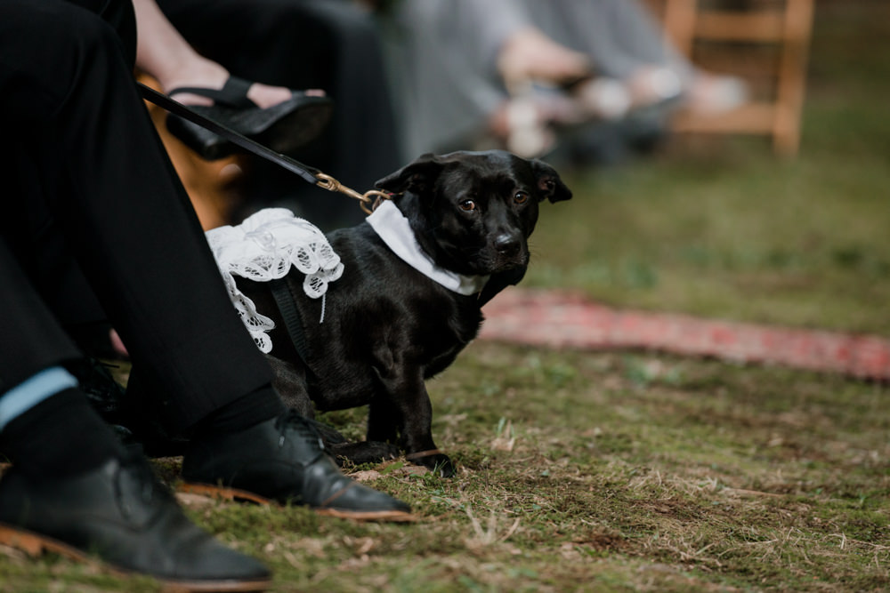 Chardon Ohio outdoor farm wedding