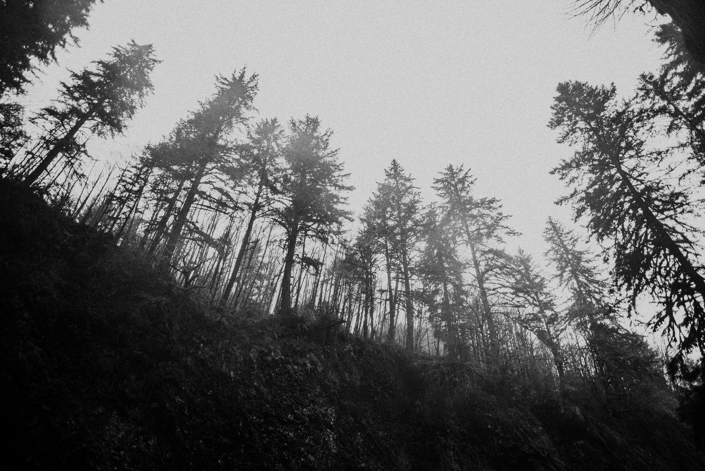 Columbus, Ohio Elopement Photographer