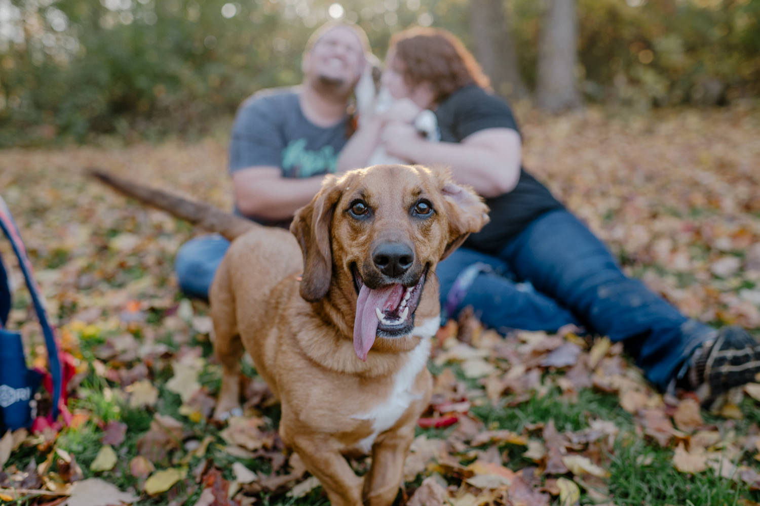 Columbus Wedding Photographer